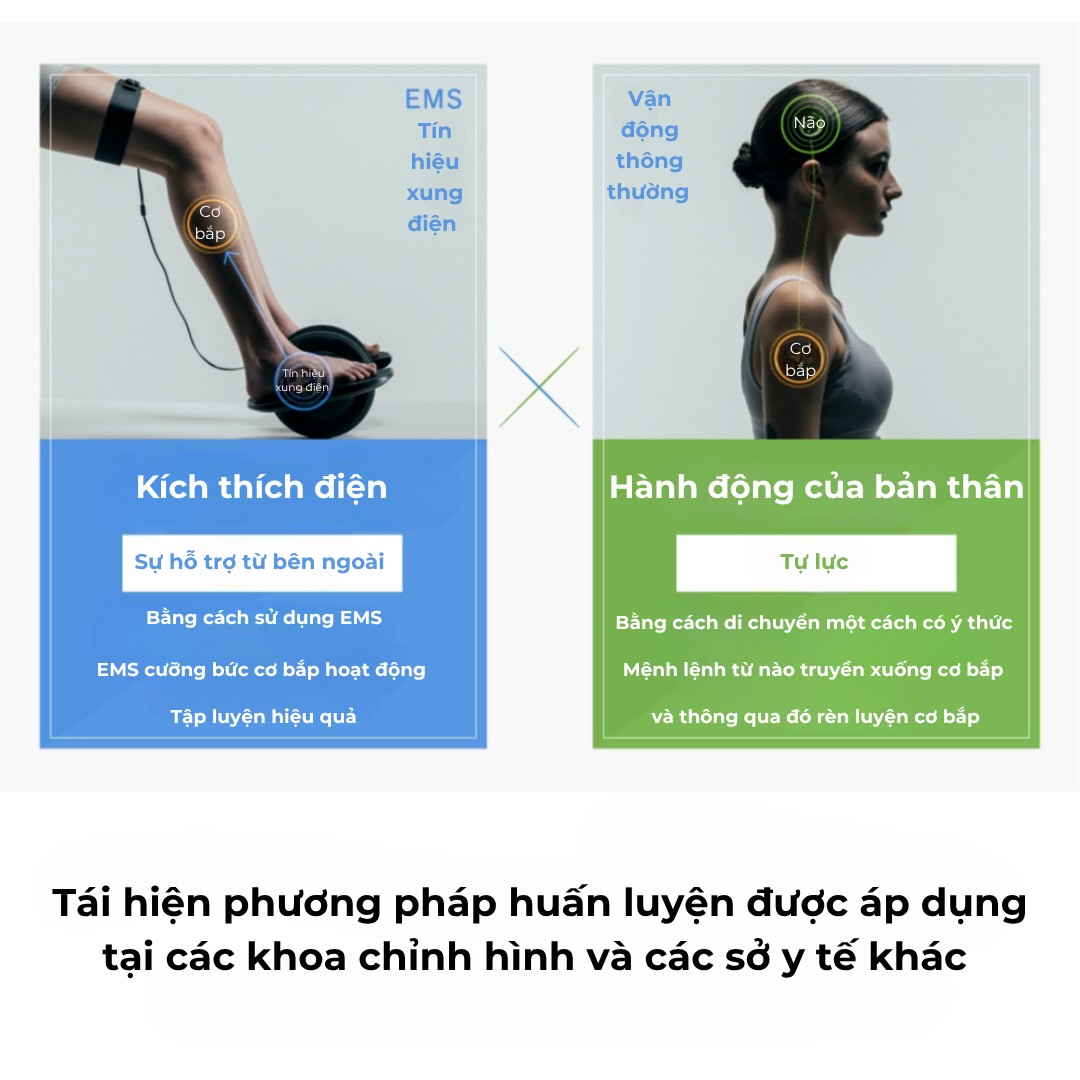 Mytrex Elexa Foot – Máy Massage Chân Được Chứng nhận thiết bị y tế Nhật Bản 6